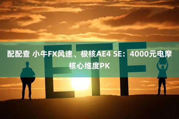 配配查 小牛FX风速、极核AE4 SE：4000元电摩核心维度PK